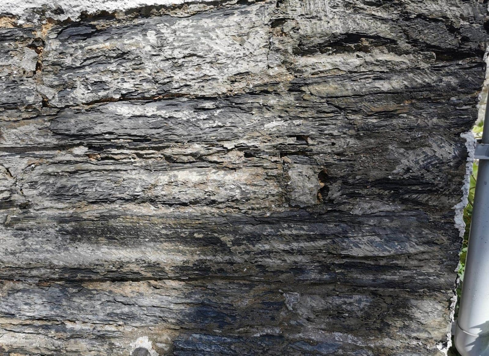 Paint Removal Doff machine he best tool for removing paint