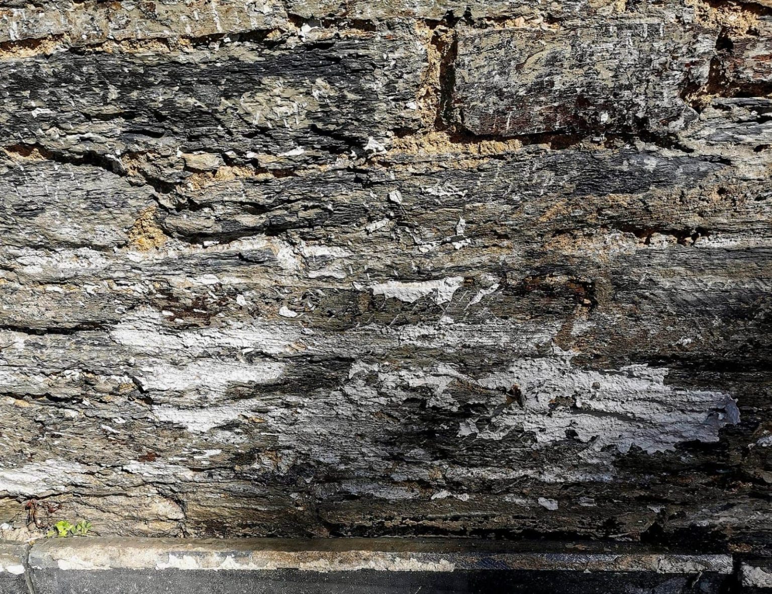 Paint Removal Doff machine he best tool for removing paint